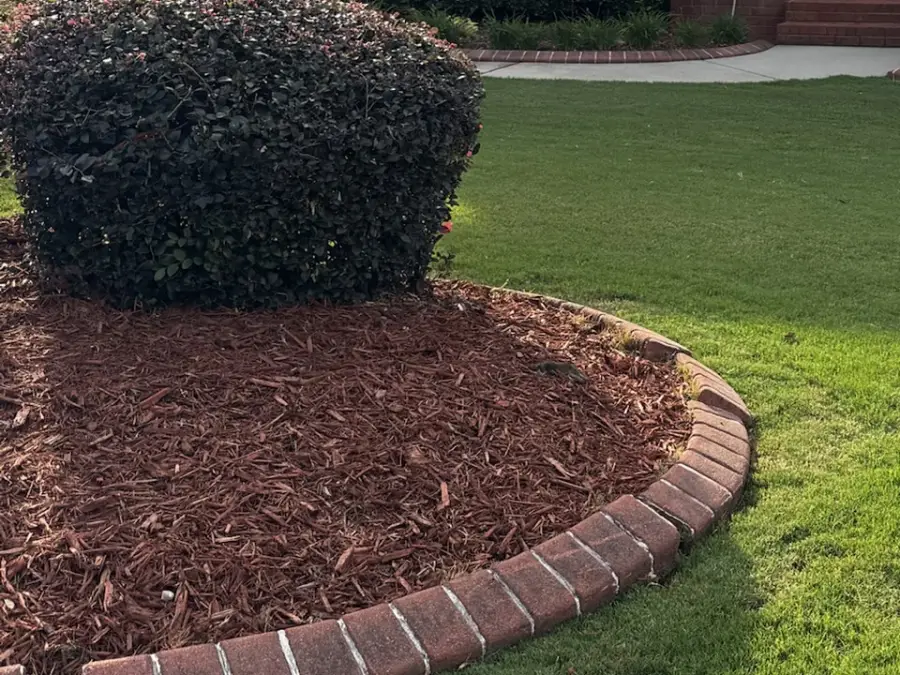 Evenly mowed lawn curving around a round bed of red mulch with a brick edge and a rounded shrub