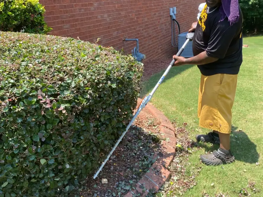Worker using a long-handled trimmer on a tall rounded hedge beside a brick wall
