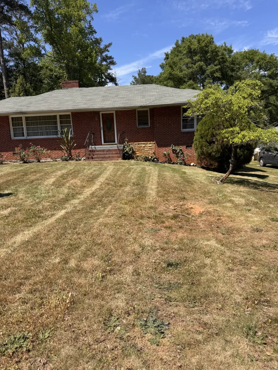 Freshly striped front lawn in dry summer grass in front of a brick ranch house