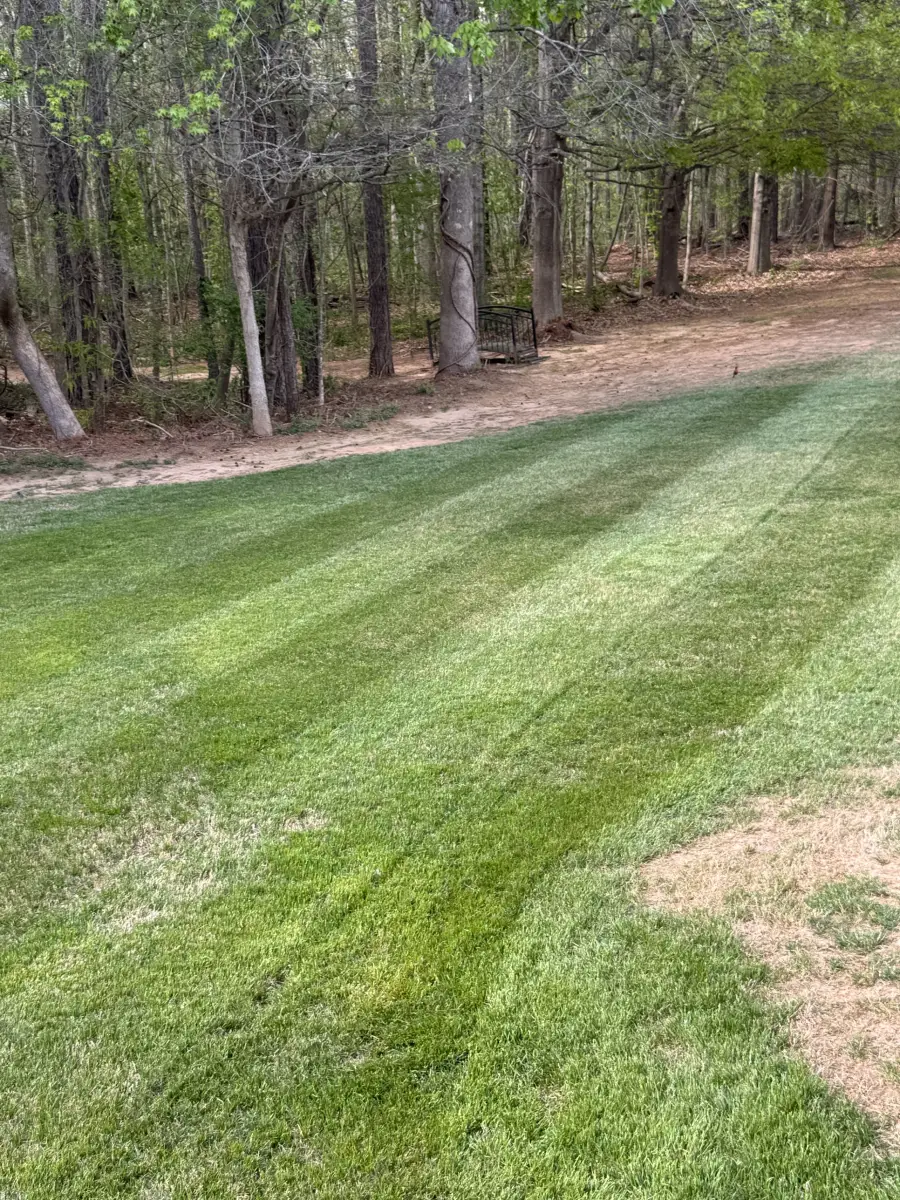 Wide lawn with light and dark mowing stripes running toward a line of trees