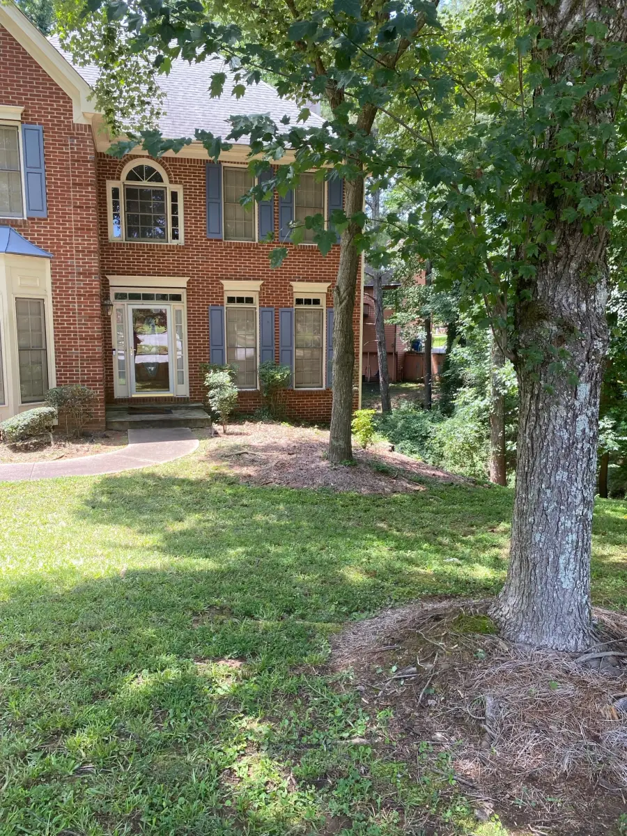 Cut lawn around a tree bed of pine straw beside a brick house with blue shutters